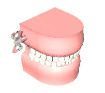 Gif animé bouche dentier